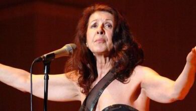 how much is elkie brooks worth